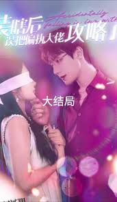 装瞎后误把偏执大佬攻略了 海报