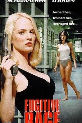 执法精英 高清海报