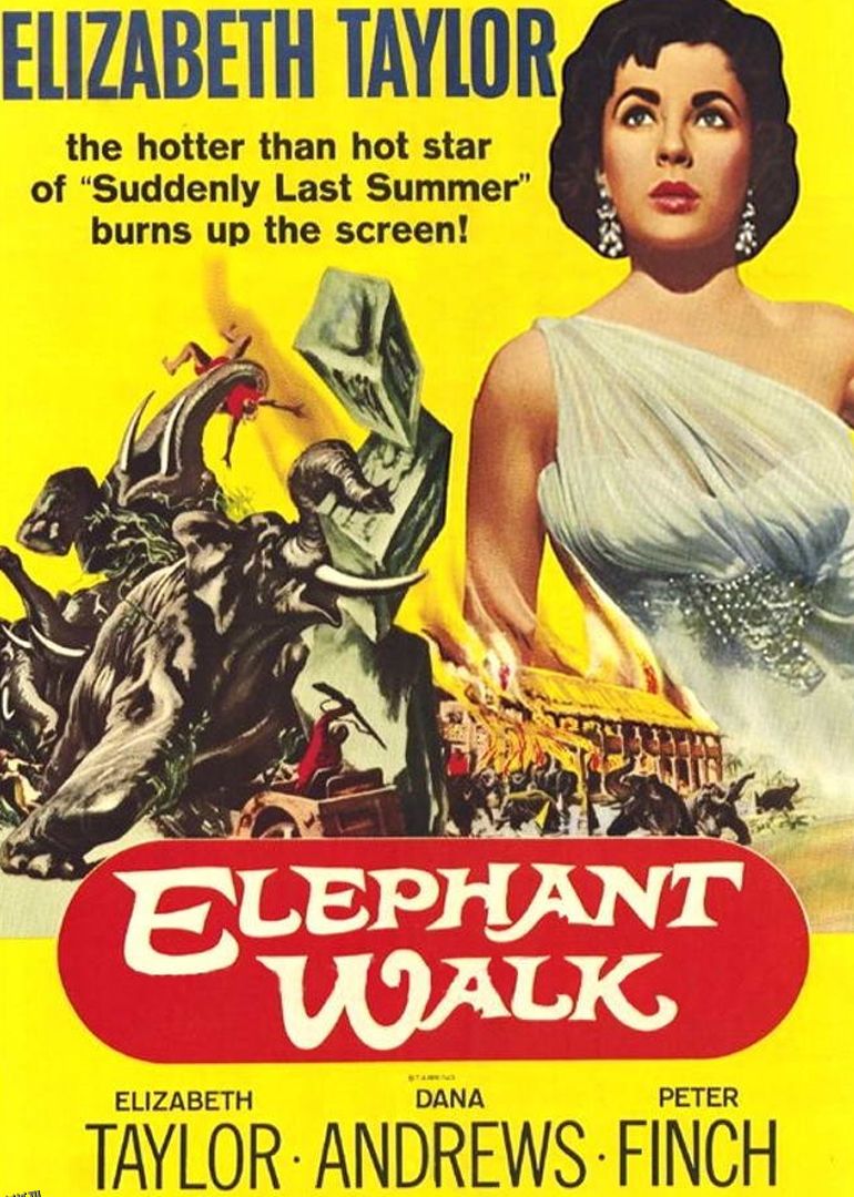 逻宫大神秘 海报