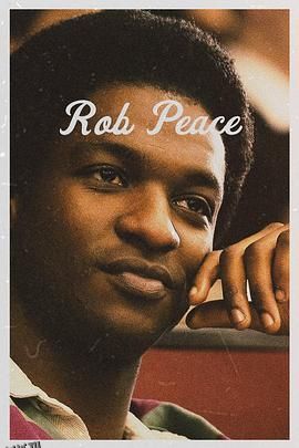 被盗的和平 海报