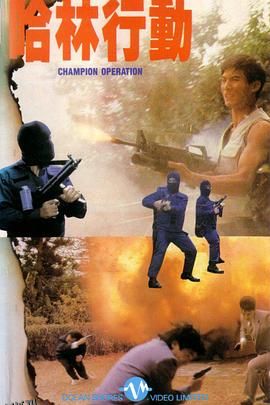 哈林行动 海报