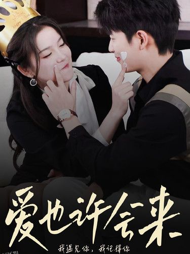 爱也许会来 海报