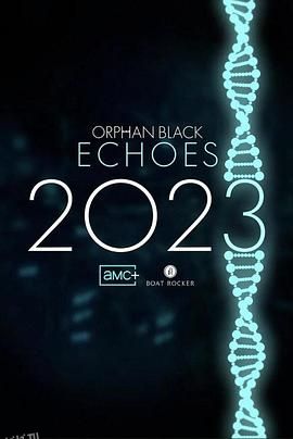 黑色孤儿：回响 高清海报