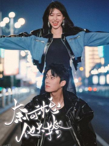 奈何沈总他太撩 海报