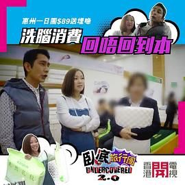 卧底旅行团2.0 海报