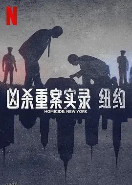 凶杀重案实录：纽约 海报
