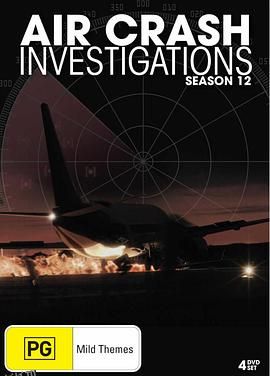 空中浩劫第十二季 海报