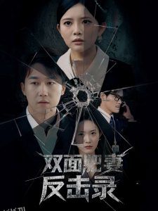 双面肥妻反击录 海报