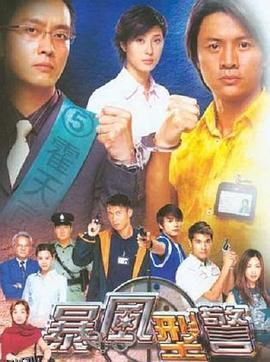 暴风刑警国语 海报