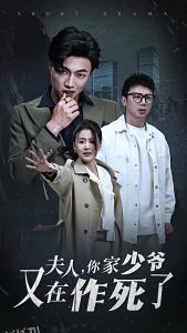 夫人你家少爷又在作死了 海报