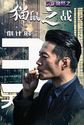 反诈风暴之猫鼠之战 海报