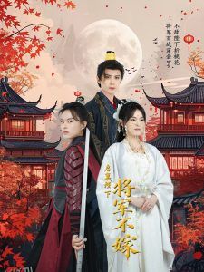 启禀陛下将军不嫁 海报