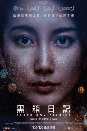 黑箱日记 海报