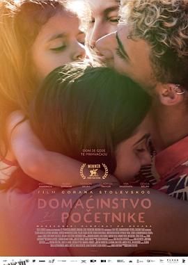 家政初学者 高清海报