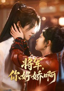 将军，你好娇啊 海报