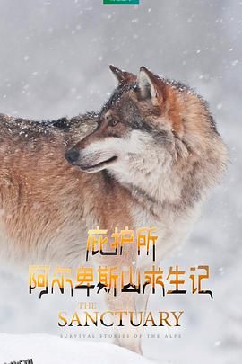 庇护所：阿尔卑斯山求生记[电影解说] 海报