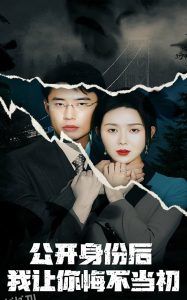 公开身份后我让你悔不当初 海报