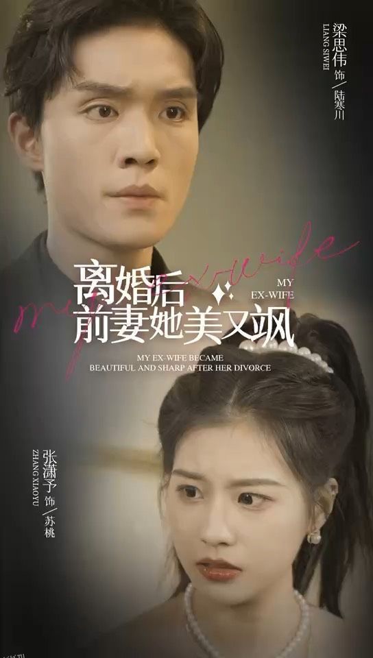 离婚后前妻她美又飒 海报