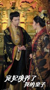 宠妃换养了我的皇子 海报