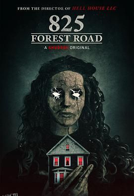 林荫路825号 海报