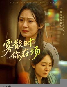 雾散时你在场 海报