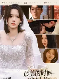 最美的时候遇见你 海报