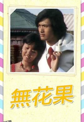 无花果1976 海报