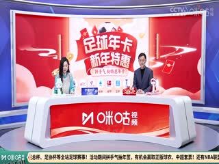 英超联赛 托特纳姆热刺VS莱斯特城 20250126 高清海报