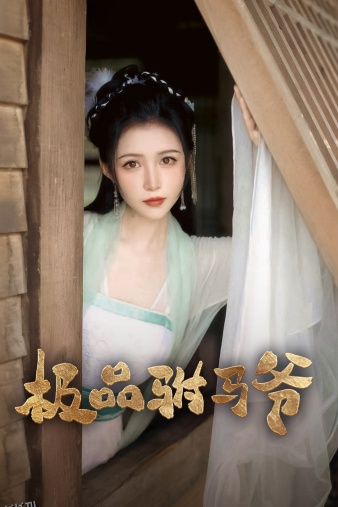 极品驸马爷 海报