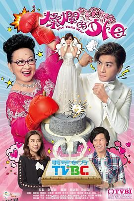 灿烂的外母国语 海报