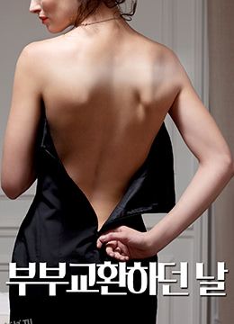 夫妻交换的日子 海报