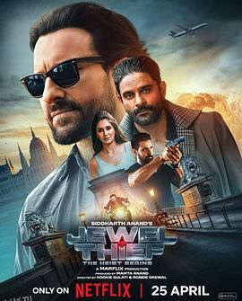 珠宝大盗：神偷出马 海报