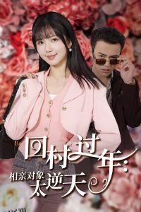 回村过年相亲对象太逆天 高清海报