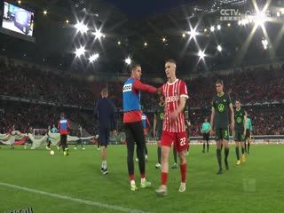 德甲 弗赖堡vs沃尔夫斯堡 20230519 海报