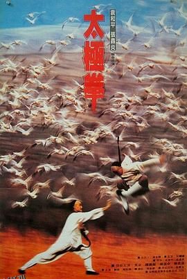 功夫小子闯情关 海报