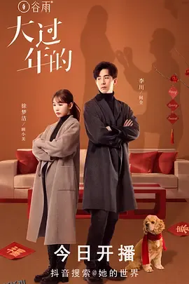 大过年的 高清海报