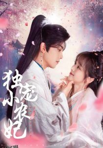 独宠小农妃 海报