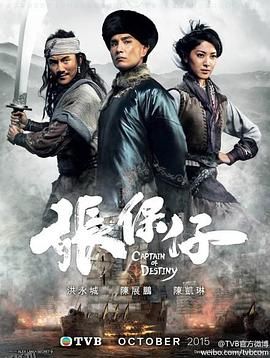 张保仔国语 海报