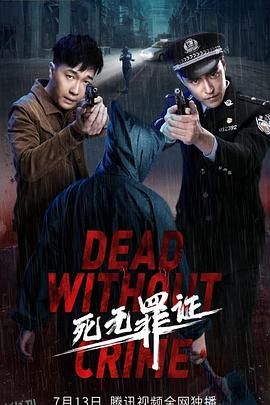 死无罪证 海报