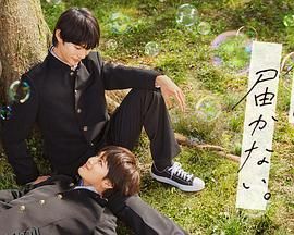 无法传达给你 海报