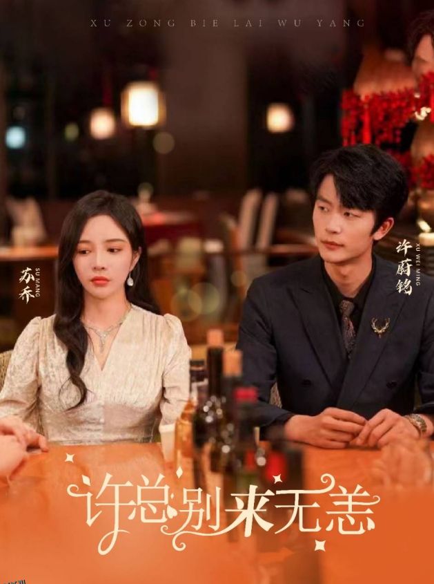 许总别来无恙 海报