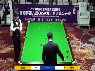 斯诺克 蔡剑忠1-4袁思俊 20230519 海报