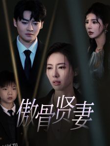 傲骨贤妻 高清海报