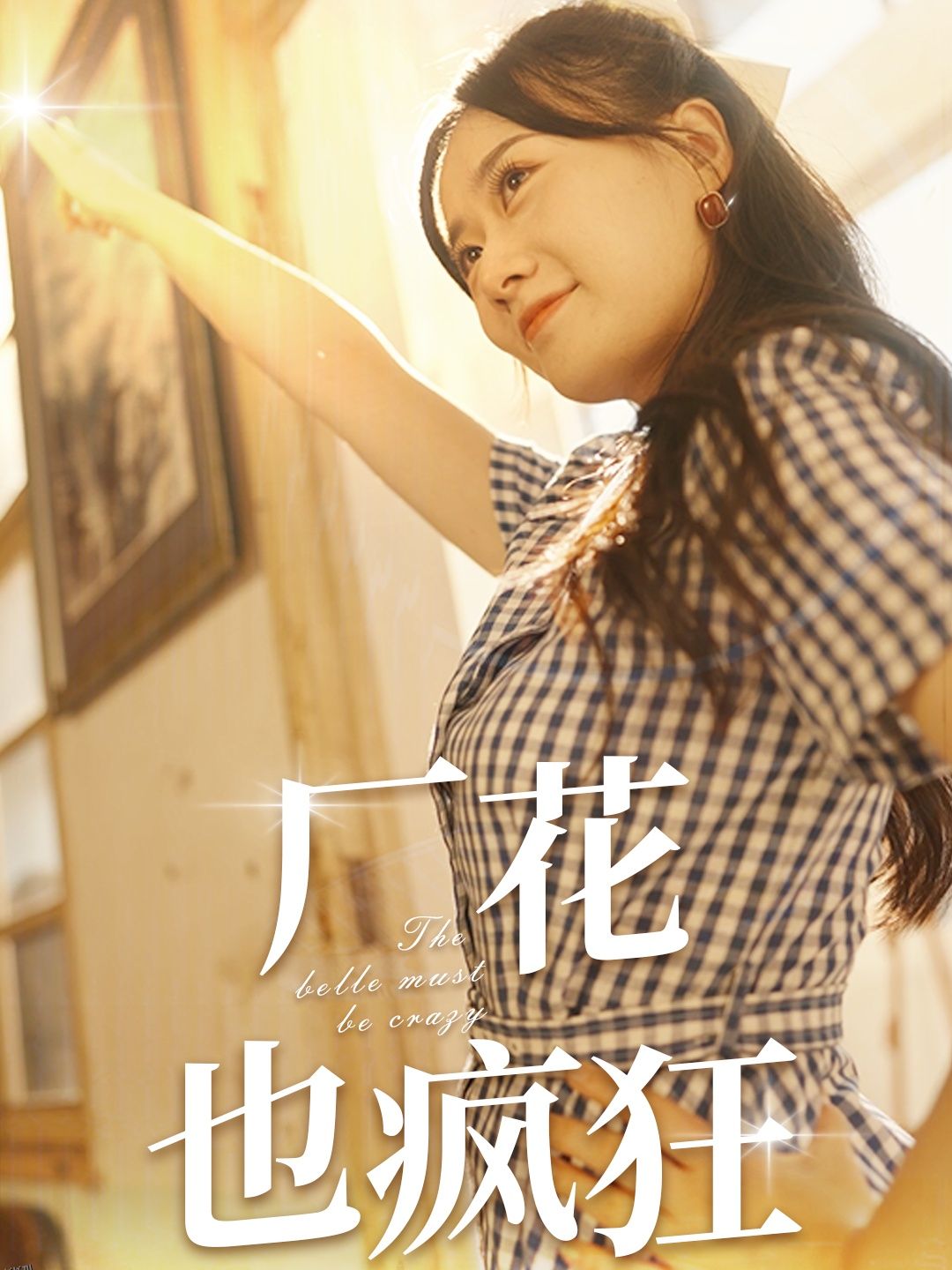 厂花也疯狂 海报