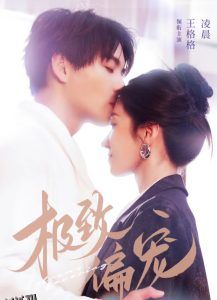 极致偏宠 高清海报