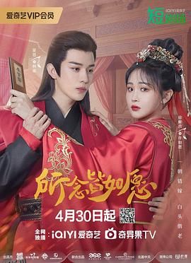 所念皆如愿 海报