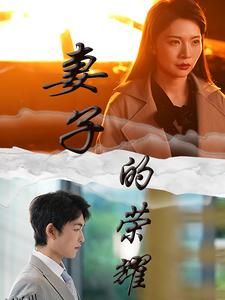 妻子的荣耀 高清海报