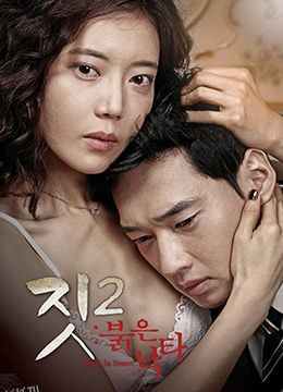 勾当2：红色骆驼 海报