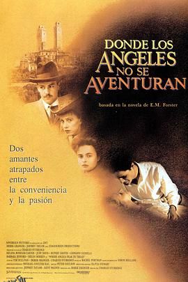 天使不敢驻足的地方[电影解说] 海报