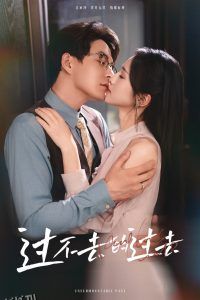 过不去的过去  我用血肉去爱你 海报